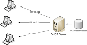 Image result for How DHCP Server Works